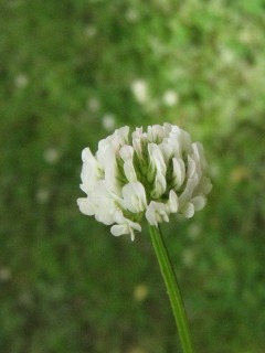 2010_0528_124517-IMG_8834.jpg