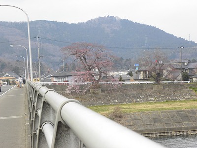 DSCN8088.jpg
