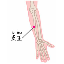 手の太陽小腸経「支正(しせい)」 blog 楽天ブログ