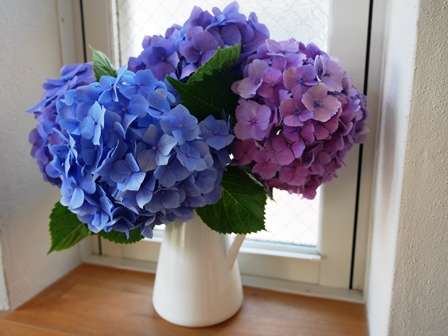 Ikeaとニトリの花瓶に紫陽花を いんてりあのおと 楽天ブログ