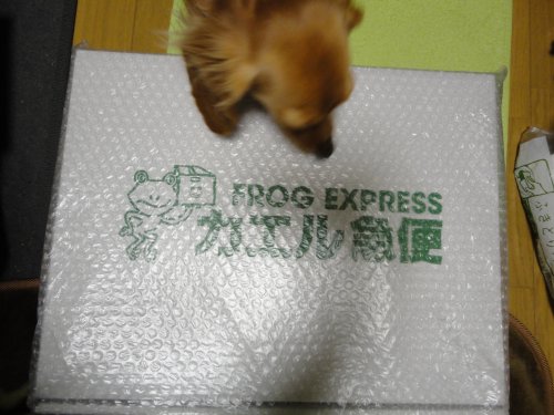 お荷物来たの?