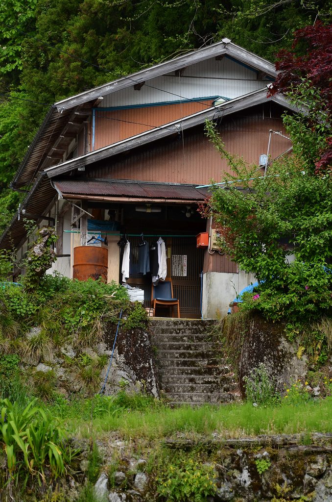 DSC_6337.jpg-1.jpg