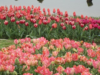 IMG_6051.jpg