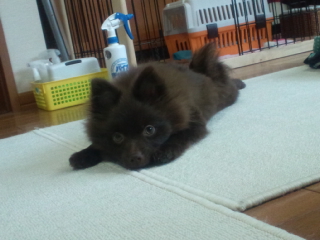 120507_142919.jpg