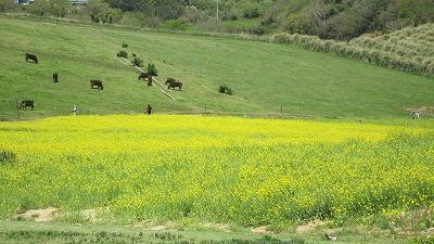 IMG_6510.jpg