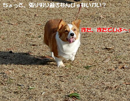 032104.jpg
