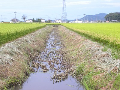DSCN4531.jpg