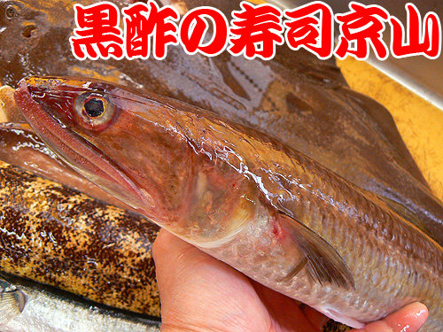 千代田区 宅配寿司 神田西福田町.jpg
