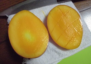 太陽のたまご 3