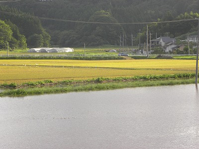 DSCN9355.jpg