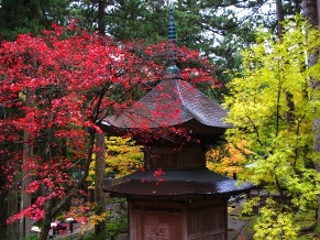 永平寺の紅葉 ２０１２年１１月 ねこねこ日記 楽天ブログ