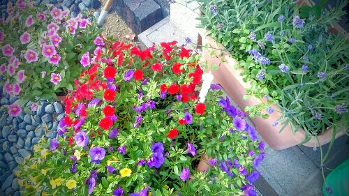 rblog-20160612231618-01.jpg