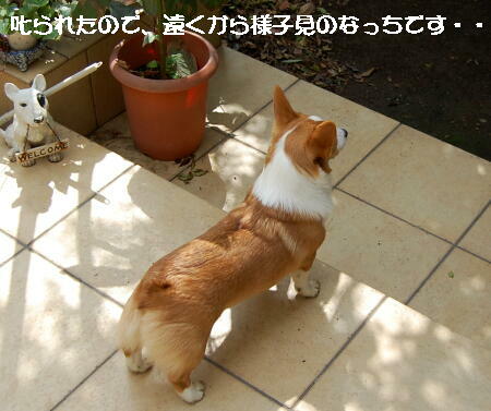 030404.jpg