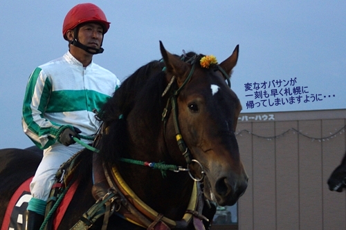 ほこ×たて、ばんえい競馬・テンマデトドケ号と安部憲二騎手 | 空と猫と