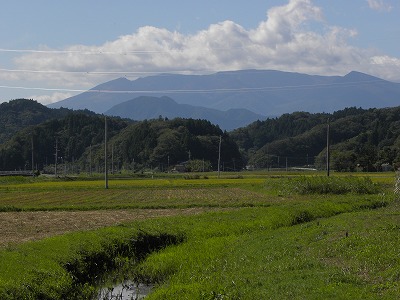 DSCN9562.jpg