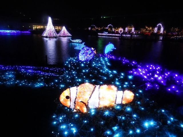 DSCF3409.JPG