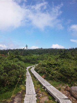 西吾妻山