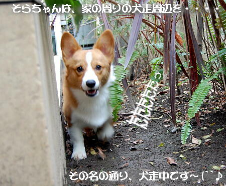 030405.jpg