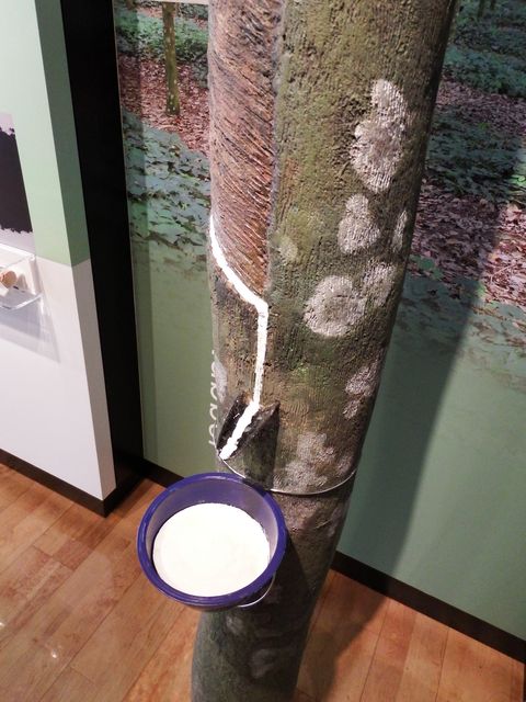 DSCF3488.JPG
