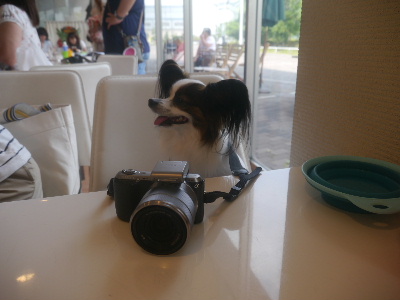 2012千葉オフ会6.JPG