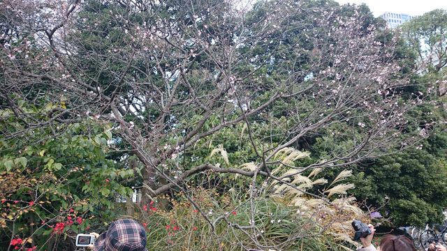 2014-12-06 14.18.10.jpg