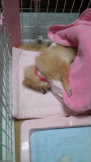 20111015000634.jpg