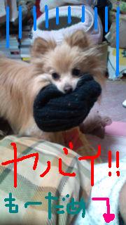 20120210215625.jpg