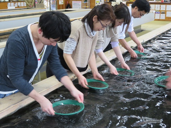 見て触れて！金運のパワースポット「土肥金山～砂金堀体験編