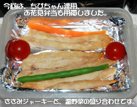 040905.jpg