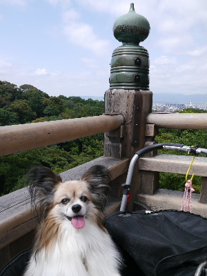 2012京都夏12.JPG