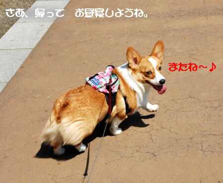 040307.jpg