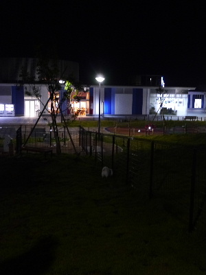 2012京都夏3.JPG