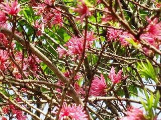 @.IMG_6584.jpg