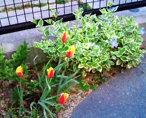 2012041618350000 (2).jpg