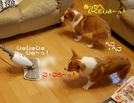 021303.jpg