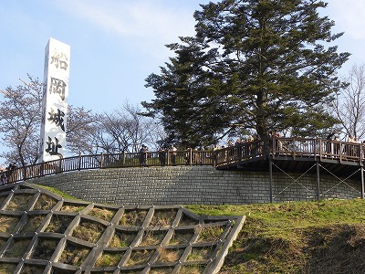 DSCN8151.jpg