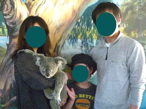 2012年オーストラリア ケアンズ 家族旅行記 コアラ抱っこと動物園 趣味の旅行とパン作り 楽天ブログ