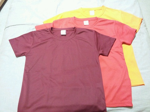 20121115用Tシャツ.JPG