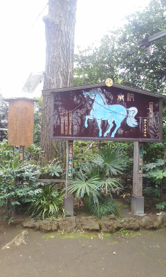 senzokuike9