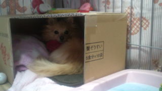 2012-02-29 15:15:57
