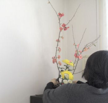 ぼけの花