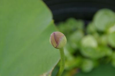 0608406.jpg