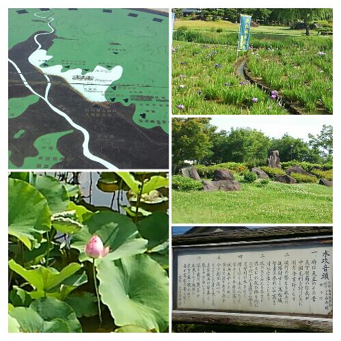 rblog-20160618233354-00.jpg