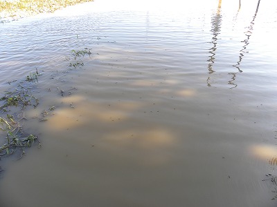 DSCN9409.jpg