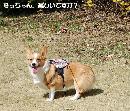 040205.jpg