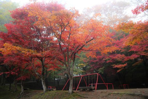 尾関山公園 鳳源寺の紅葉 くり坊のひとりごと Blog版 楽天ブログ