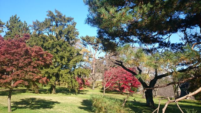 2014-12-06 13.22.08.jpg