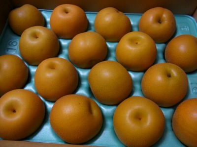 RIMG0440.jpg