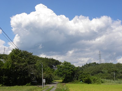DSCN9228.jpg