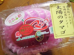 太陽のたまご 1